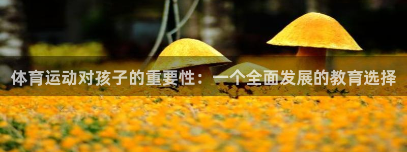 意昂F凯捷零能源集团