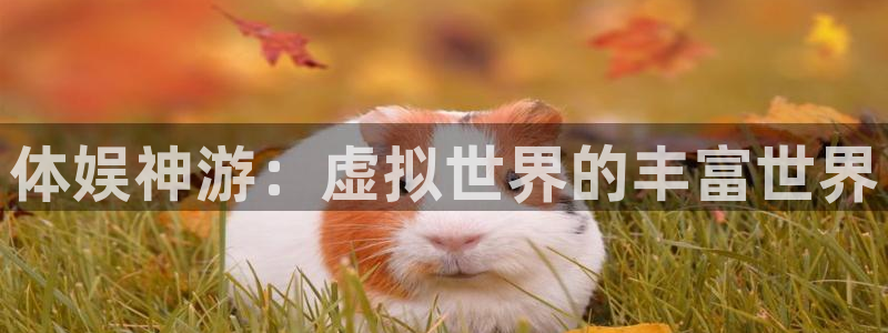 意昂F凯捷集团