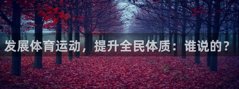 意昂F凯捷体育和杏耀是哪个公司的