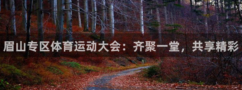 意昂4登录