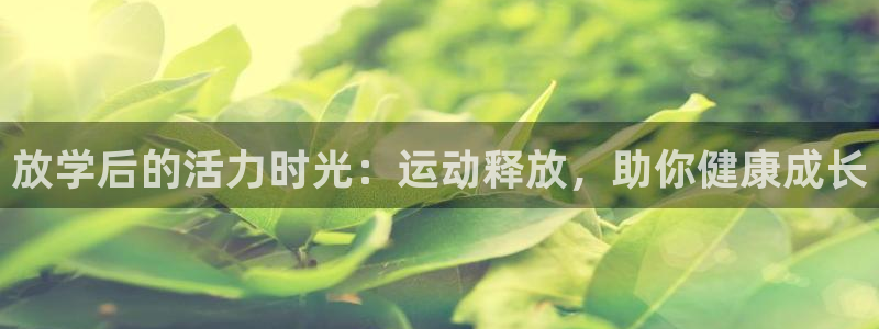 意昂包怎么样