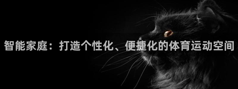 意昂F凯捷电子有限公司