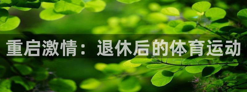 意昂体育官网登录