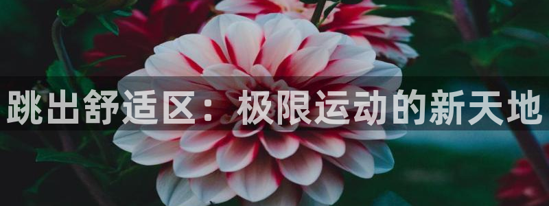 意昂