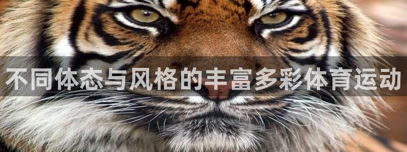 意昂F凯捷体育免费注册入口