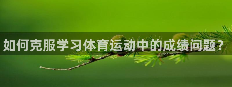意昂F凯捷平台主管